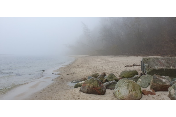 Ostseestrand mit Steinen im Nebel